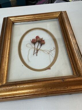 Framed Pressed Rosebuds Artwork in Gold Frame